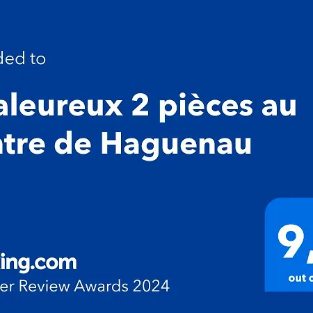 Chaleureux 2 Pièces Au Centre De * Haguenau